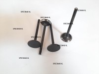 Mitsubishi S4L клапана впускные