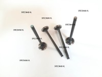 Mitsubishi S4L клапана выпускные